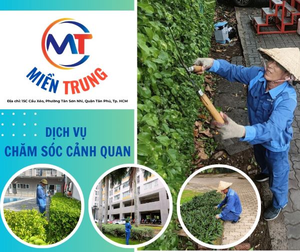 Dịch vụ cắt tỉa cây xanh - Công Ty Cổ Phần Dịch Vụ Miền Trung